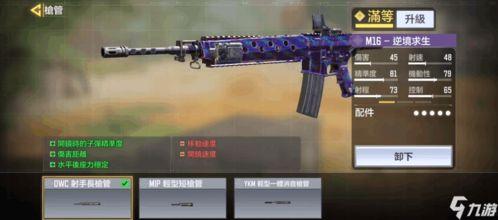 使命召唤最新爆料m16,M16新爆料，揭秘未来战场利器