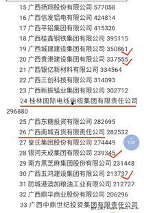新区开放时间最新爆料,揭秘最新爆料，共赴未来繁华盛宴”